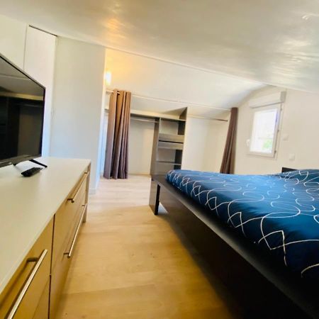 T3 En Duplex Pour 6 Pers Bien Place Terrasse Et Parking Inclus Leilighet Toulouse Eksteriør bilde