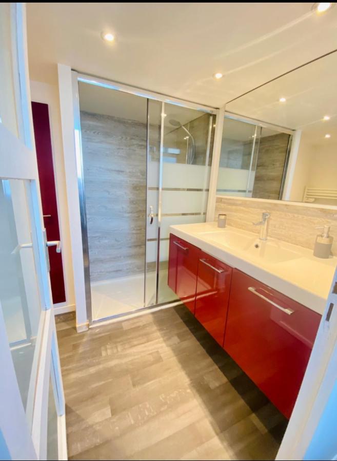 T3 En Duplex Pour 6 Pers Bien Place Terrasse Et Parking Inclus Leilighet Toulouse Eksteriør bilde